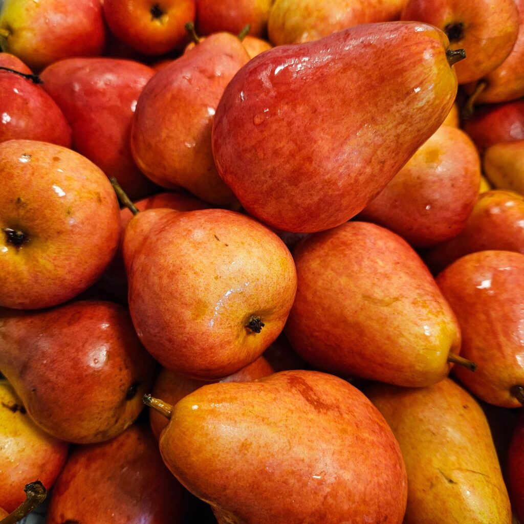 APlillefoto3 min 1024x1024