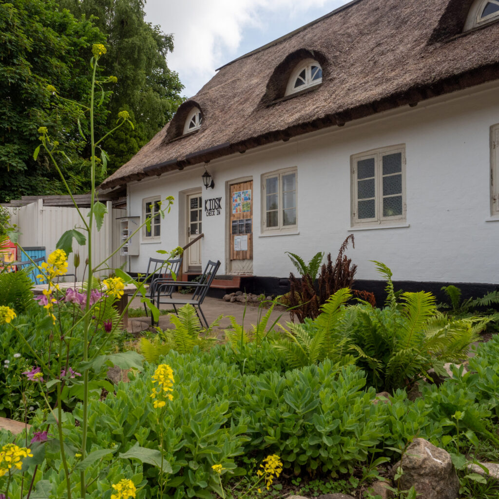 BGlillebillede1 1024x1024