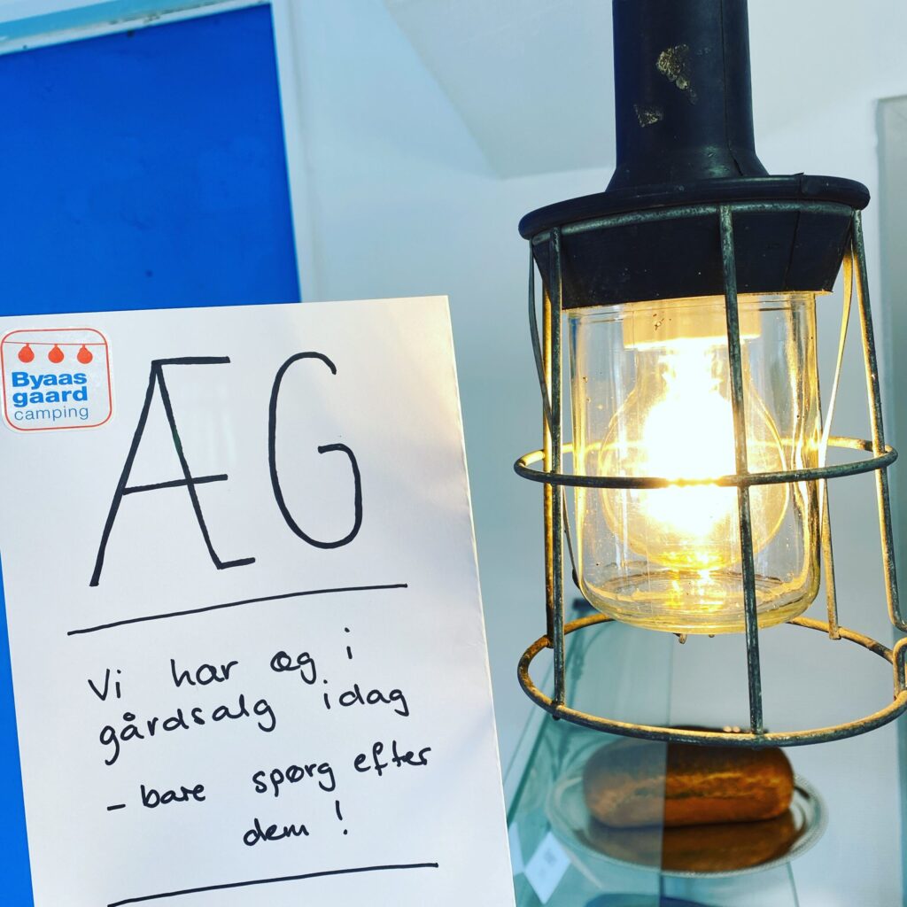 BGlillebillede3 1024x1024